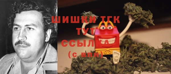 мдпв Абаза