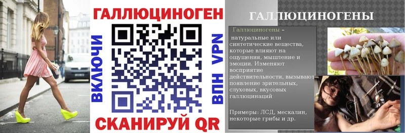 shop Telegram  Темников  Псилоцибиновые грибы Magic Shrooms 